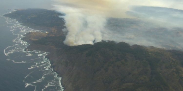 Valparaíso se mantiene en Alerta Roja por incendio forestal en Laguna Verde