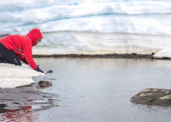 Completo estudio sobre metales en ecosistema costero antártico es realizado por investigadores de la UPLA