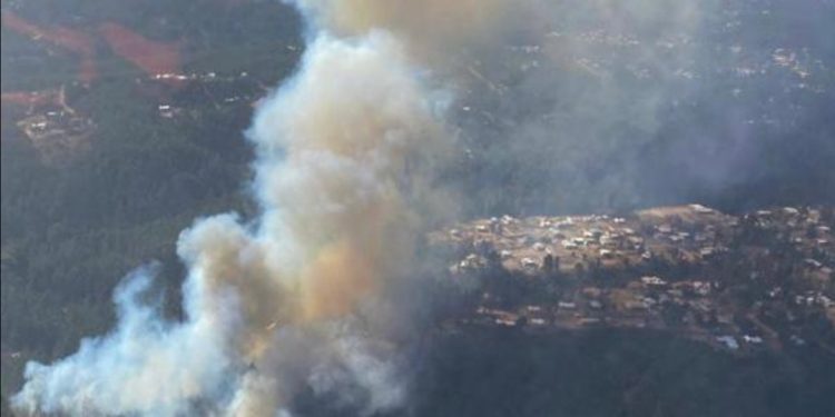 Valparaíso en alerta roja por incendio forestal en Las Docas