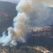Valparaíso en alerta roja por incendio forestal en Las Docas