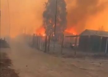 15 viviendas afectadas deja incendio en Las Docas de Valparaíso