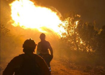 Valparaíso: incendio forestal se mantiene activo y obliga a suspender tránsito en la Ruta 68