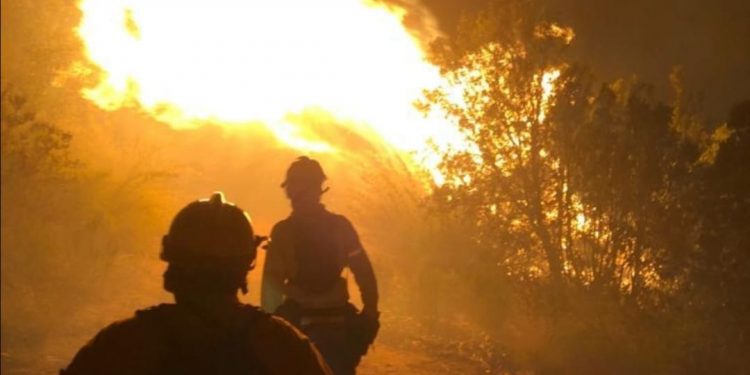 Valparaíso: incendio forestal se mantiene activo y obliga a suspender tránsito en la Ruta 68