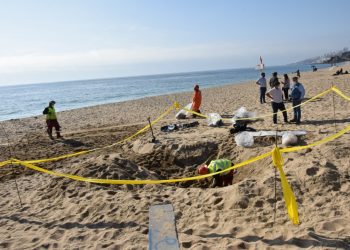 Alcaldesa de Viña del Mar se querellará por delito ambiental debido a vertimiento de hidrocarburos en Las Salinas