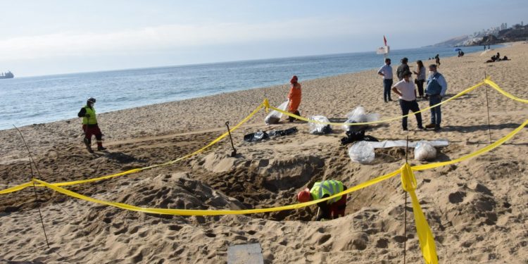 Alcaldesa de Viña del Mar se querellará por delito ambiental debido a vertimiento de hidrocarburos en Las Salinas