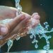 Municipalidad interpone querella para que se investigue la supuesta presencia de agua contaminada en Valparaíso