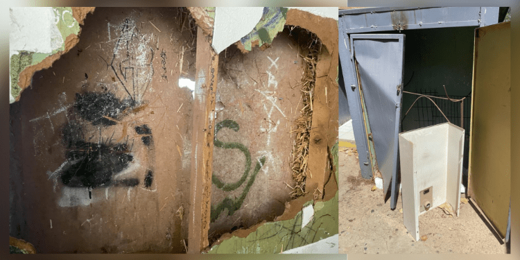 244 alumnos de Valparaíso no podrán volver a clases este lunes tras robo en su escuela