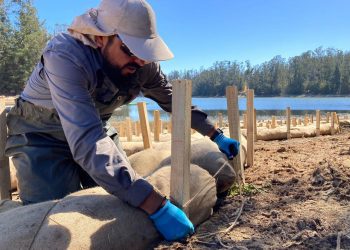 Valparaíso: Esval inicia programa de conservación del ecosistema en el tranque La Luz de Placilla