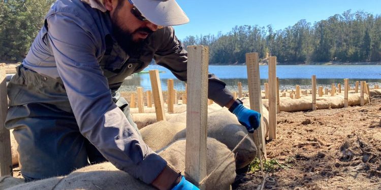 Valparaíso: Esval inicia programa de conservación del ecosistema en el tranque La Luz de Placilla