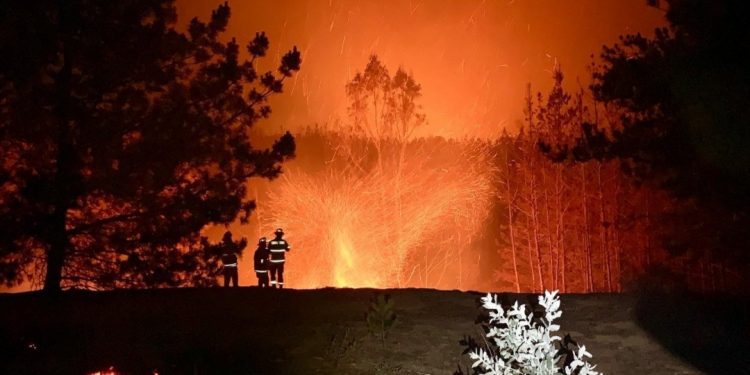 Cancelan alerta roja comunal para Valparaíso por incendio en Laguna Verde: la bajan a amarilla