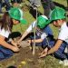 Iniciativa de arborización urbana más grande de Latinoamérica impulsada por la Municipalidad de Quillota ha plantado 45 mil árboles