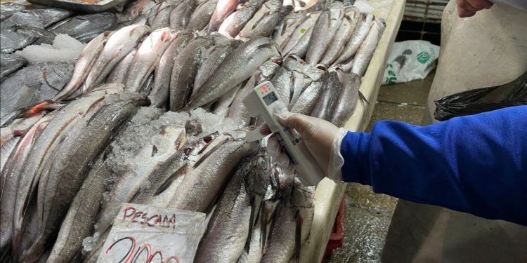Llaman a la prevención de cara al consumo de pescados y mariscos en Semana Santa