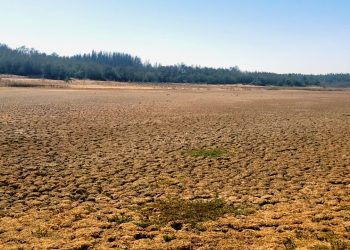 Gerente de Esval: “La gestión del agua es el principal desafío para la sostenibilidad de nuestra región”