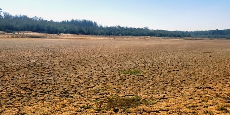 Gerente de Esval: “La gestión del agua es el principal desafío para la sostenibilidad de nuestra región”