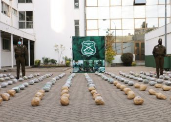 En Nogales Carabineros decomisa 245 kilos de marihuana