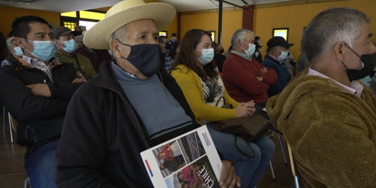 Petorca la primera comuna beneficiada: INDAP inicia entrega de ayudas del plan «Siembra por Chile»