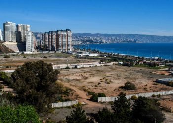 Experto español: “Proyecto de mejoramiento de suelo en Las Salinas sería un hito para Chile”