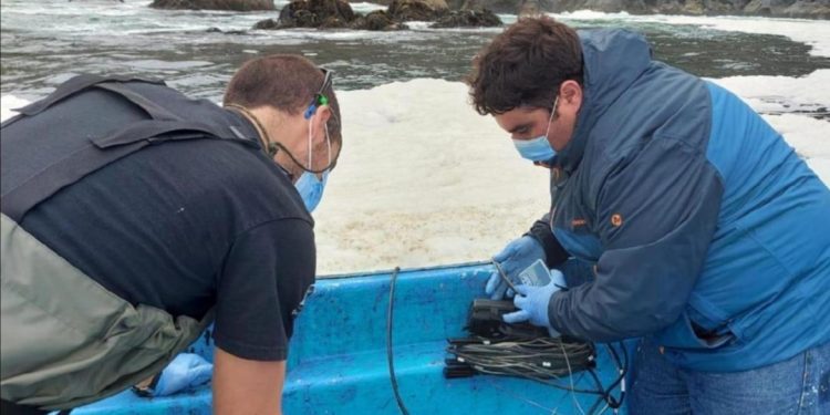 Estudio detectó coliformes fecales sobre la norma en aguas marinas superficiales costeras en Valparaíso