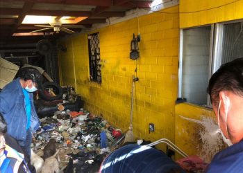 Rescatan a seis perros en pésimas condiciones desde domicilio en La Calera