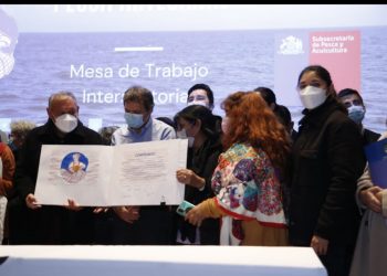 Pesca artesanal: Gore y Subpesca instauran mesa intersectorial para visibilizar y fortalecer el rol de las mujeres trabajadoras