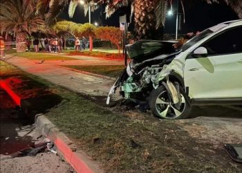 Hoy serán los funerales de hijo de ex concejal de Viña de Mar, Carlos Gómez, y su amigo fallecidos en fatal colisión