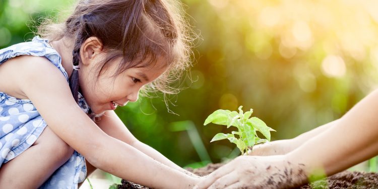 Experto en biología: El suelo sería el gran ausente en el capítulo de medio ambiente de la Constitución
