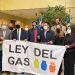 Diputados anuncian sesión especial por irregularidades en el mercado del gas