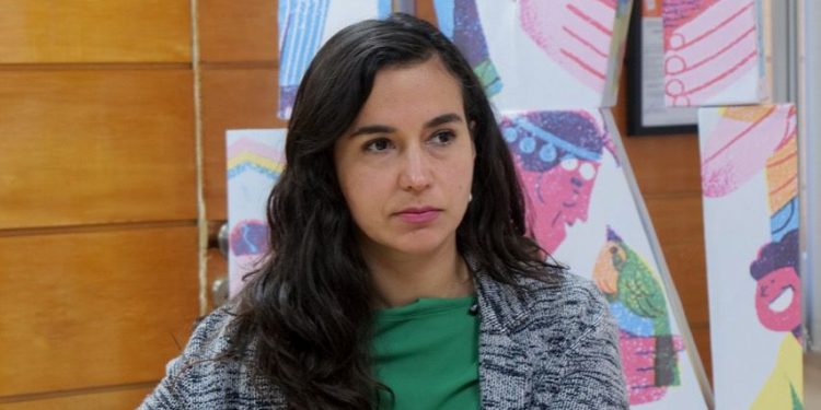 Seremi Minvu por fallo sobre hotel Punta Piqueros: “Es concordante con el plan y visión de nuestro Gobierno”