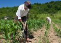 Mesa Agrícola Regional: fijan planes para garantizar la soberanía alimentaria en la zona