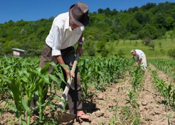 Mesa Agrícola Regional: fijan planes para garantizar la soberanía alimentaria en la zona