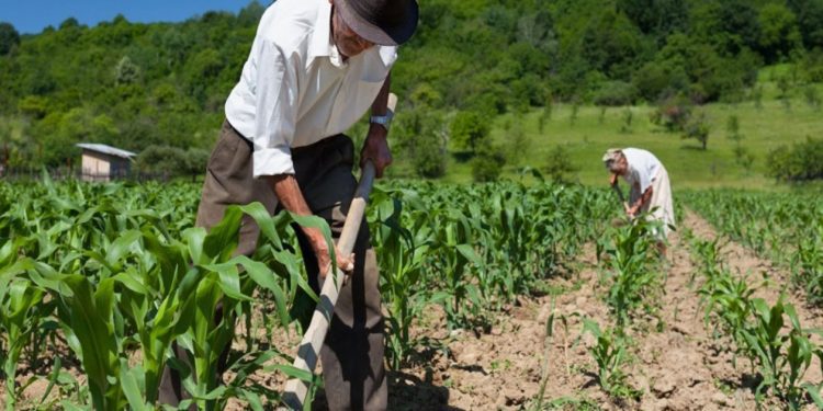 Mesa Agrícola Regional: fijan planes para garantizar la soberanía alimentaria en la zona