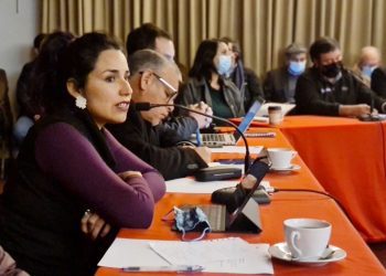 DPR Valparaíso, Sofía González: “Más allá de las normas, apelamos a la responsabilidad moral que tienen estas empresas con el territorio”