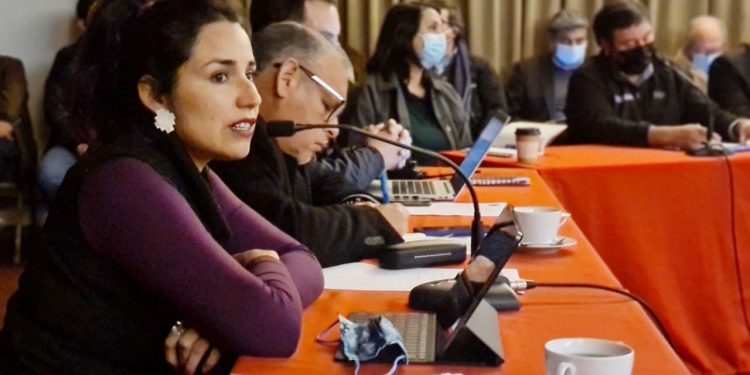 DPR Valparaíso, Sofía González: “Más allá de las normas, apelamos a la responsabilidad moral que tienen estas empresas con el territorio”