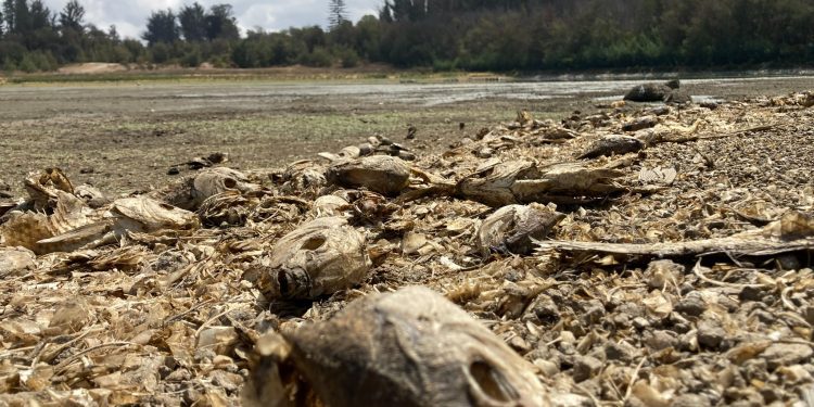Esval reitera llamado al cuidado del agua en el «Día de la lucha contra la desertificación y sequía»