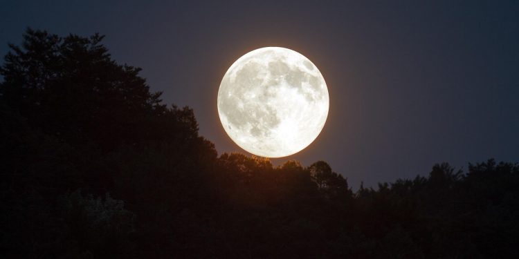 Súper Luna: este martes será visible y afirman que es similar a observar un objeto dentro de un vaso con agua