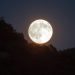 Súper Luna: este martes será visible y afirman que es similar a observar un objeto dentro de un vaso con agua