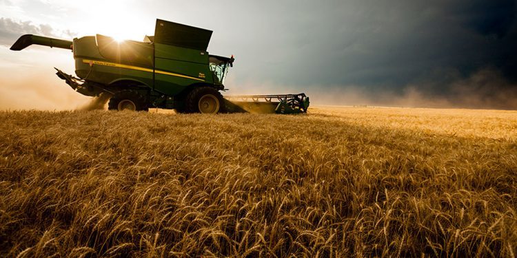 Arquitectos por un Chile Digno: «Se requiere una ocupación territorial racional, sostenible y respetuosa de la vida y los recursos naturales»