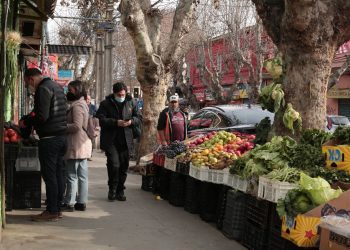 Concejala Olguín y ordenanza que establece límites al funcionamiento del comercio ambulante en Quilpué: «Es una mala propuesta; yo propongo la Feria El Belloto»