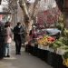Concejala Olguín y ordenanza que establece límites al funcionamiento del comercio ambulante en Quilpué: «Es una mala propuesta; yo propongo la Feria El Belloto»
