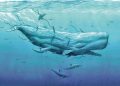 Opinión / La ballena o el último canto de Moby Dick
