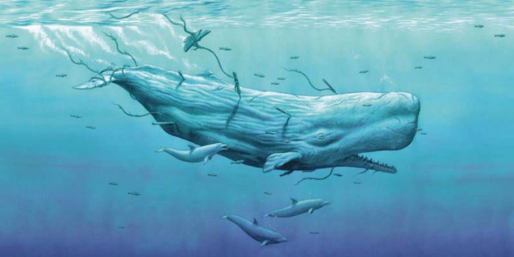 Opinión / La ballena o el último canto de Moby Dick