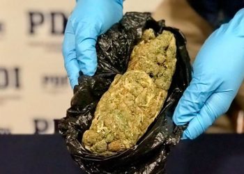 Violencia intrafamiliar, infracción a la ley de drogas y robo en lugar habitado: Consejo Regional define prioridades en plan de seguridad pública