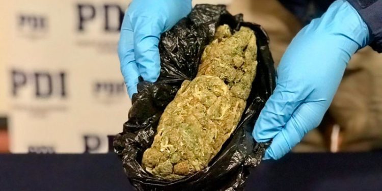 Violencia intrafamiliar, infracción a la ley de drogas y robo en lugar habitado: Consejo Regional define prioridades en plan de seguridad pública