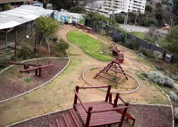 Diputado Celis invitará a ministra Yarza a Comisión para que aclare graves acusaciones de torturas a pacientes del psiquiátrico Del Salvador