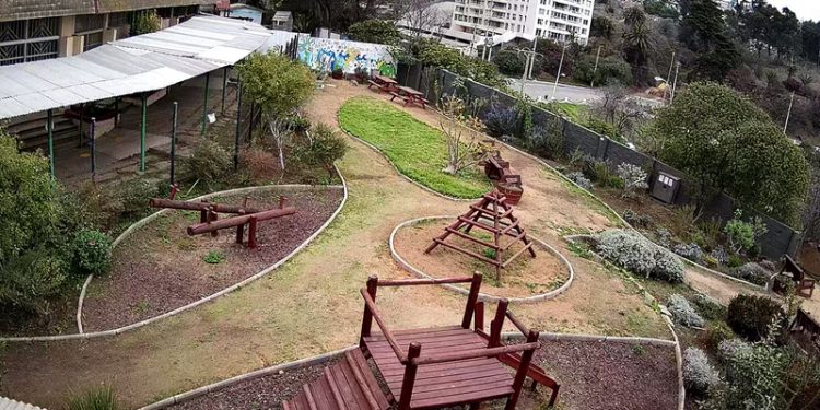 Diputado Celis invitará a ministra Yarza a Comisión para que aclare graves acusaciones de torturas a pacientes del psiquiátrico Del Salvador