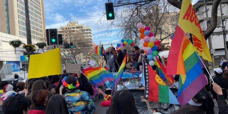 En Viña del Mar se realizó marcha  por la diversidades y disidencias