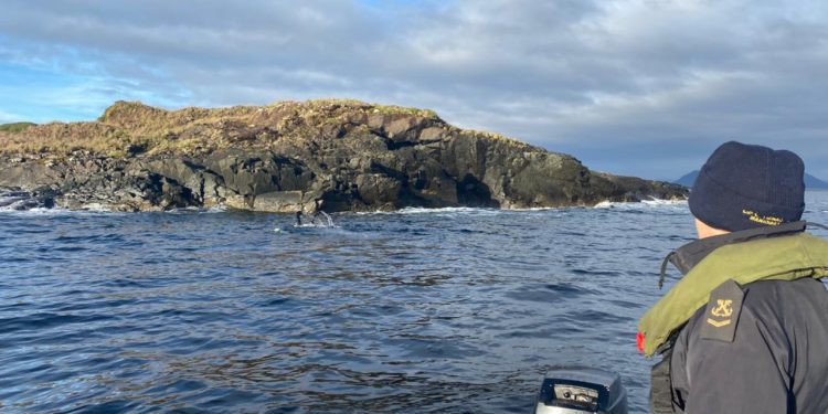 Último minuto / Armada de Chile no cesa en la búsqueda de tripulante porteño perdido en altar mar, en la región de Aysén