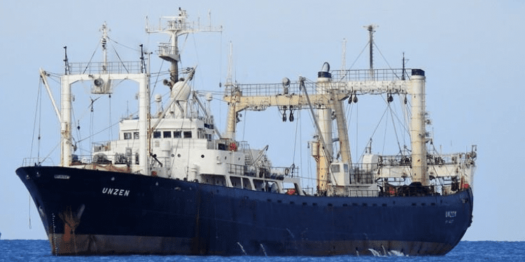 Aún no hay noticias del navegante porteño desaparecido a bordo de la nave Unzen, cerca de la isla Guamblín