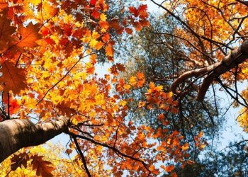 El tiempo / Pronóstico para mañana en toda la región