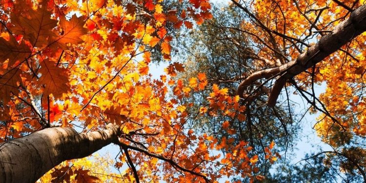 El tiempo / Pronóstico para mañana en toda la región